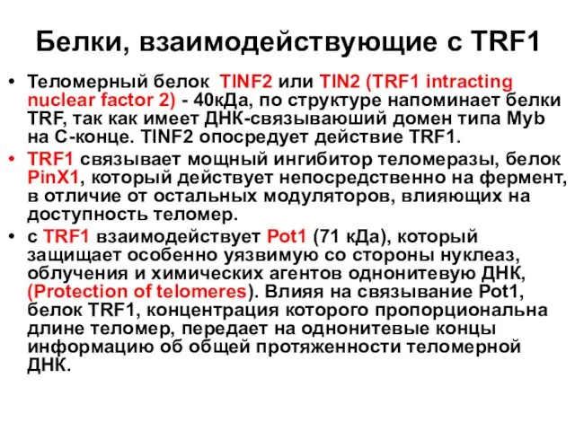 Белки, взаимодействующие с TRF1 Теломерный белок TINF2 или ТIN2 (ТRF1 intracting