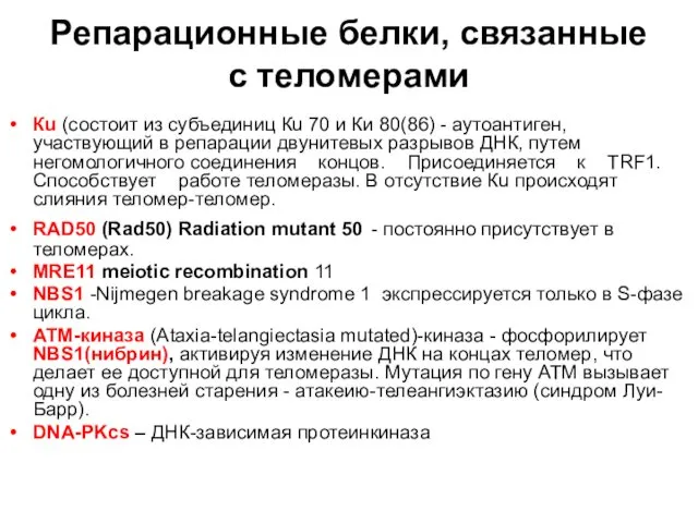 Репарационные белки, связанные с теломерами Кu (состоит из субъединиц Кu 70