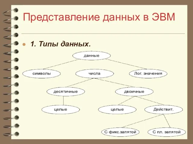 Представление данных в ЭВМ 1. Типы данных.