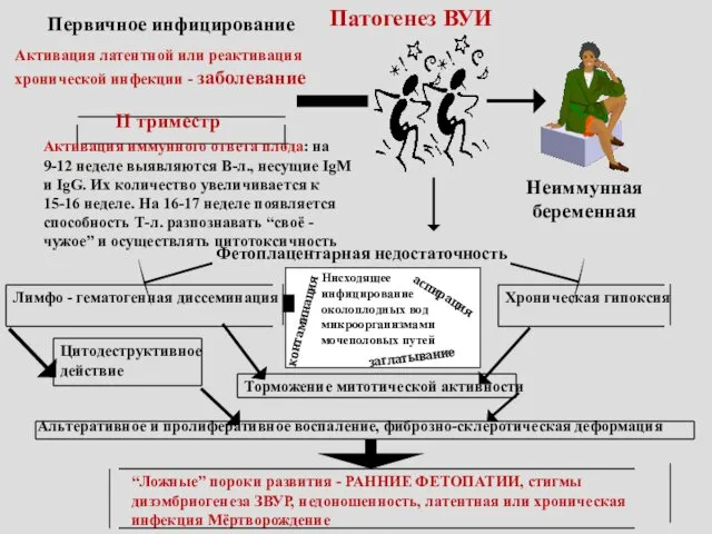 Патогенез ВУИ Неиммунная беременная Первичное инфицирование Активация латентной или реактивация хронической