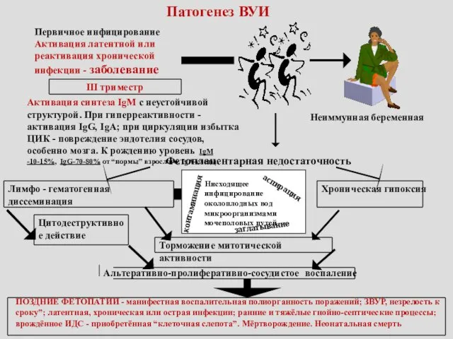 Патогенез ВУИ Неиммунная беременная III триместр Первичное инфицирование Активация латентной или