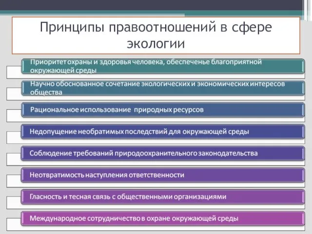 Принципы правоотношений в сфере экологии