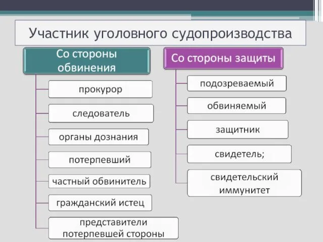 Участник уголовного судопроизводства