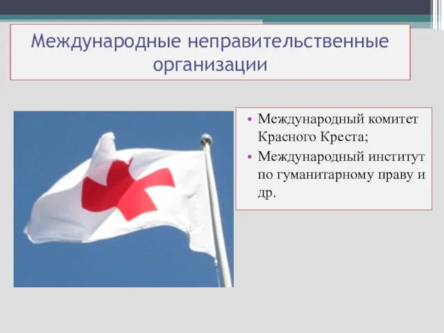 Международный комитет Красного Креста; Международный институт по гуманитарному праву и др. Международные неправительственные организации