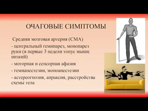 ОЧАГОВЫЕ СИМПТОМЫ Средняя мозговая артерия (СМА) - центральный гемипарез, монопарез руки