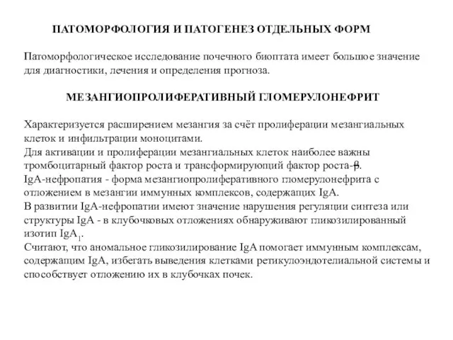 ПАТОМОРФОЛОГИЯ И ПАТОГЕНЕЗ ОТДЕЛЬНЫХ ФОРМ Патоморфологическое исследование почечного биоптата имеет большое