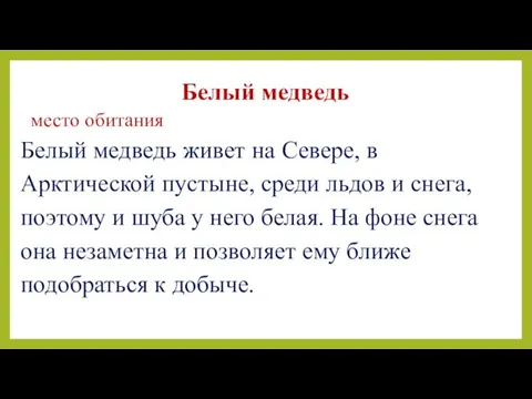 Белый медведь место обитания Белый медведь живет на Севере, в Арктической