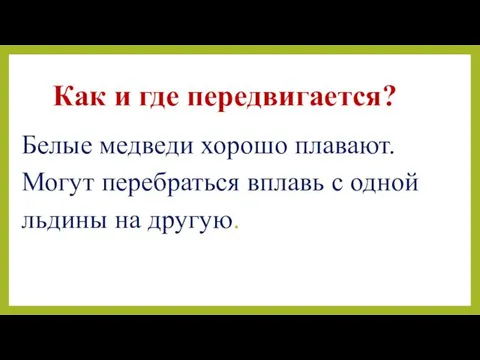 Как и где передвигается? Белые медведи хорошо плавают. Могут перебраться вплавь с одной льдины на другую.