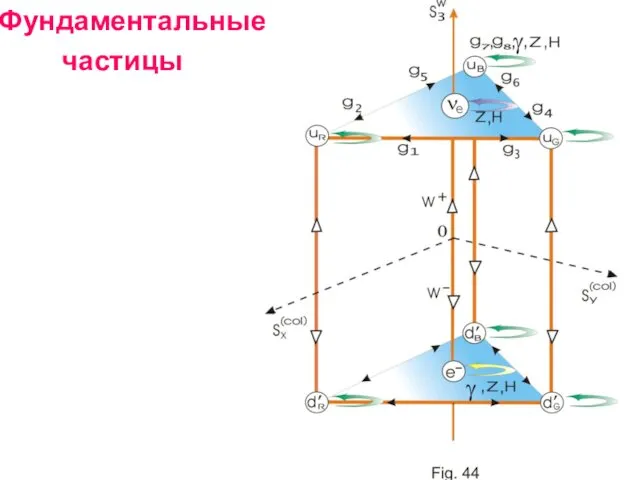 Фундаментальные частицы