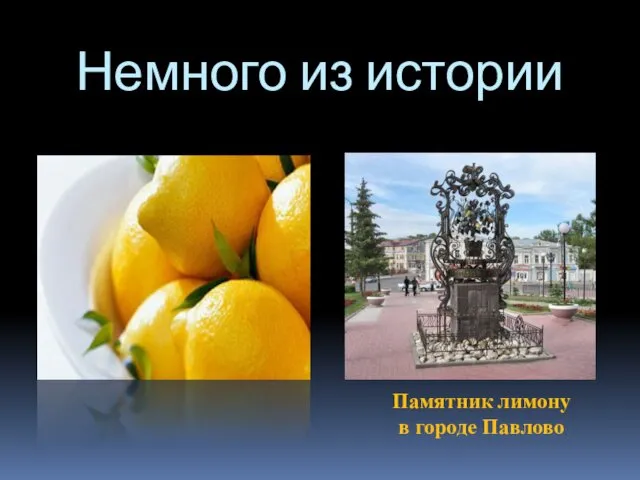 Немного из истории Памятник лимону в городе Павлово