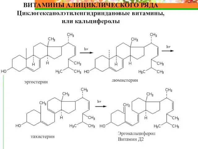 ВИТАМИНЫ АЛИЦИКЛИЧЕСКОГО РЯДА Циклогексанолэтиленгидриндановые витамины, или кальциферолы эргостерин люмистерин тахистерин Эргокальциферол Витамин Д2
