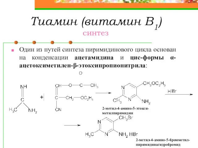 Тиамин (витамин В1) синтез Один из путей синтеза пиримидинового цикла основан
