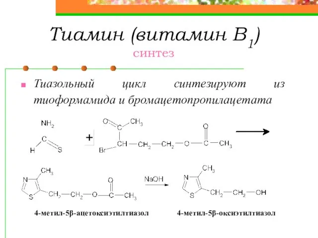 Тиамин (витамин В1) синтез Тиазольный цикл синтезируют из тиоформамида и бромацетопропилацетата 4-метил-5β-ацетоксиэтилтиазол 4-метил-5β-оксиэтилтиазол