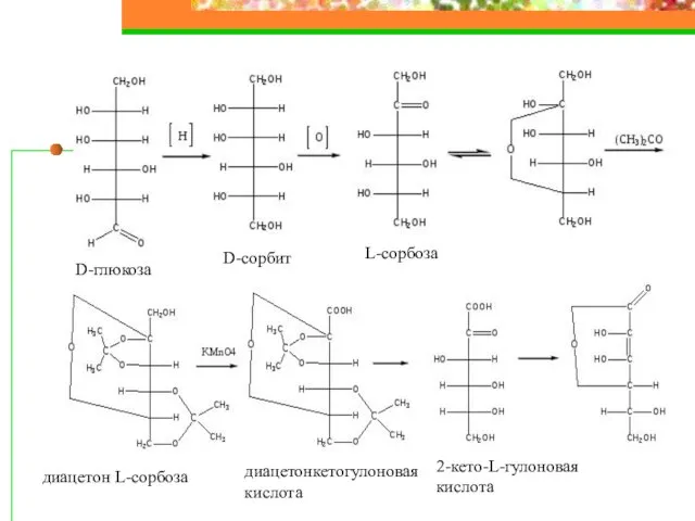 D-глюкоза D-сорбит L-сорбоза диацетон L-сорбоза диацетонкетогулоновая кислота 2-кето-L-гулоновая кислота