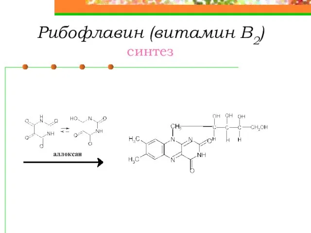 Рибофлавин (витамин В2) синтез аллоксан