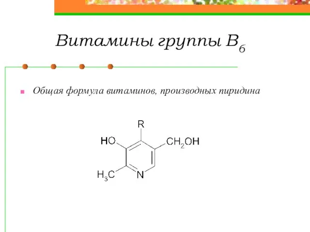 Витамины группы В6 Общая формула витаминов, производных пиридина