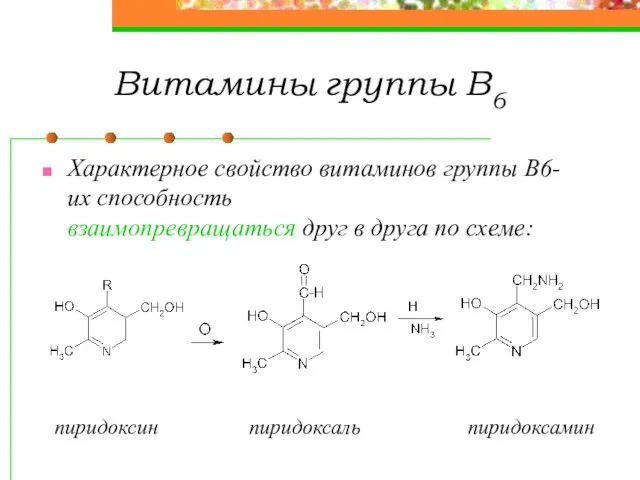 Витамины группы В6 Характерное свойство витаминов группы В6-их способность взаимопревращаться друг