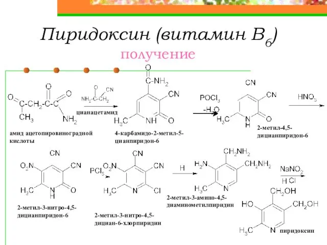 Пиридоксин (витамин В6) получение амид ацетопировиноградной кислоты цианацетамид 4-карбамидо-2-метил-5- цианпиридон-6 2-метил-4,5-