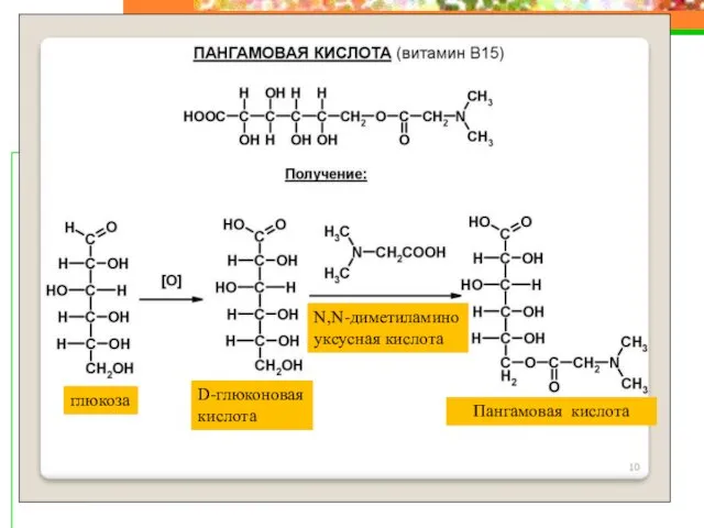 глюкоза D-глюконовая кислота N,N-диметиламино уксусная кислота Пангамовая кислота