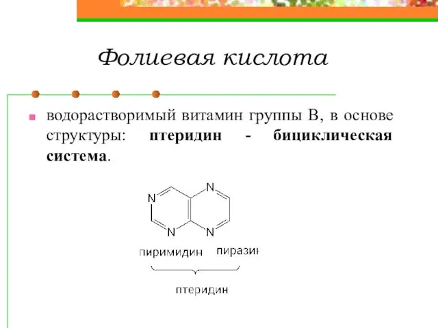 Фолиевая кислота водорастворимый витамин группы В, в основе структуры: птеридин - бициклическая система.