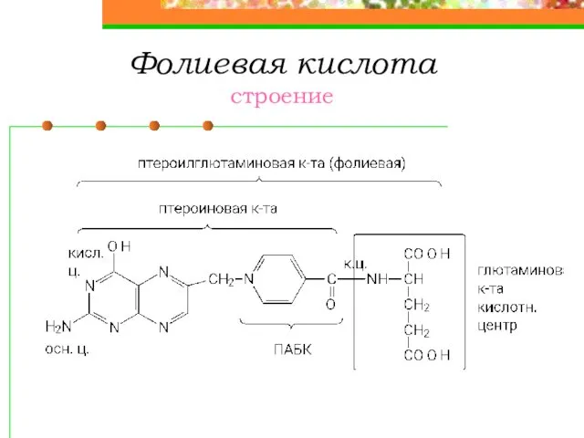 Фолиевая кислота строение