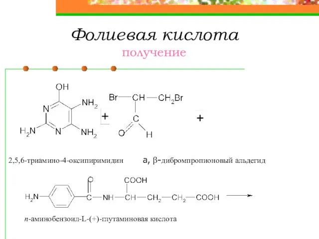 Фолиевая кислота получение 2,5,6-триамино-4-оксипиримидин а, β-дибромпропионовый альдегид п-аминобензоил-L-(+)-глутаминовая кислота