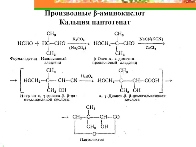 Производные β-аминокислот Кальция пантотенат