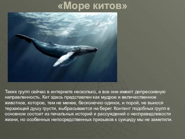 «Море китов» Таких групп сейчас в интернете несколько, и все они