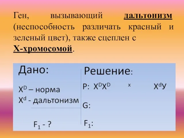 Ген, вызывающий дальтонизм (неспособность различать красный и зеленый цвет), также сцеплен с Х-хромосомой.