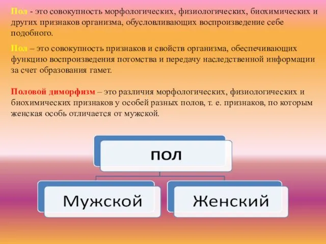 Пол - это совокупность морфологических, физиологических, биохимических и других признаков организма,