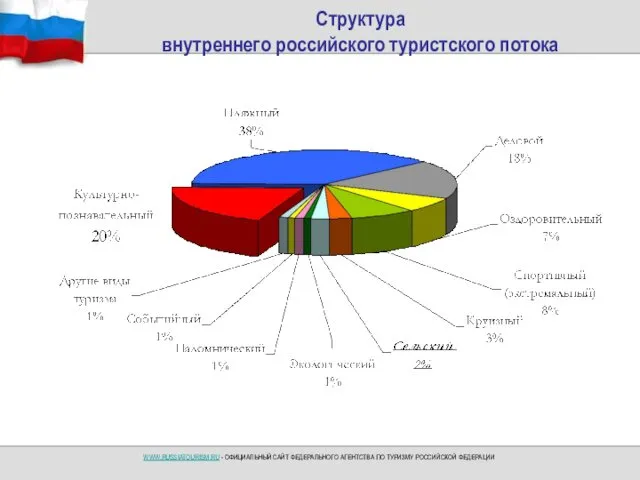 Структура внутреннего российского туристского потока