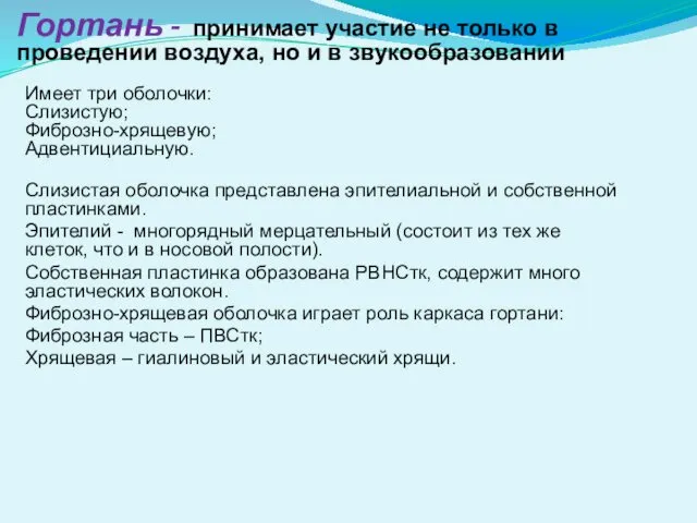 Гортань - принимает участие не только в проведении воздуха, но и