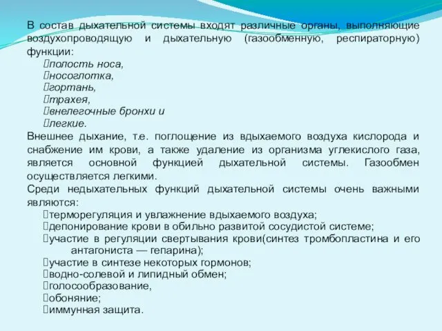 В состав дыхательной системы входят различные органы, выполняющие воздухопроводящую и дыхательную