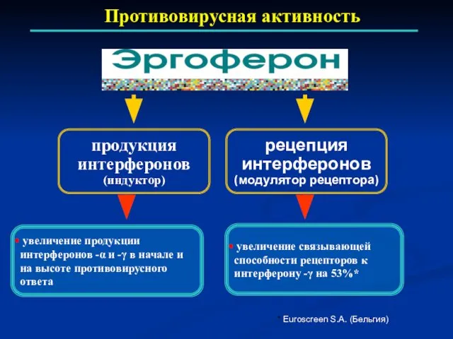 продукция интерферонов (индуктор) рецепция интерферонов (модулятор рецептора) Противовирусная активность * Euroscreen