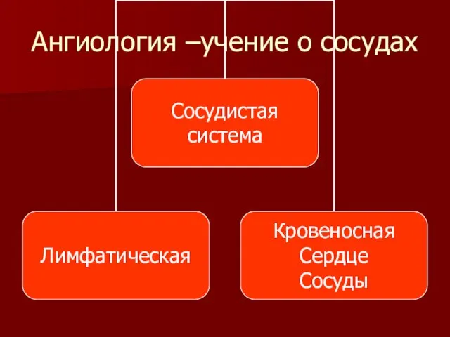 Ангиология –учение о сосудах