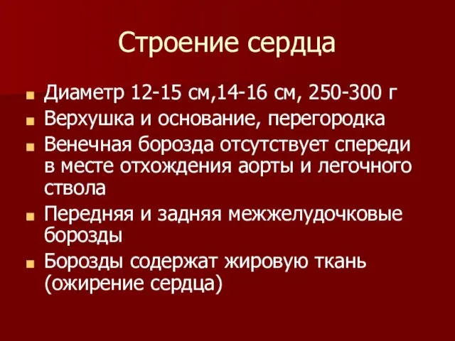 Строение сердца Диаметр 12-15 см,14-16 см, 250-300 г Верхушка и основание,