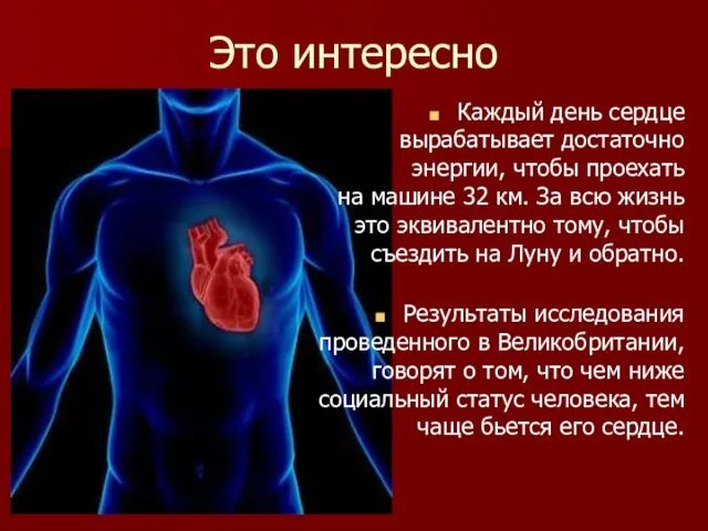 Это интересно Каждый день сердце вырабатывает достаточно энергии, чтобы проехать на