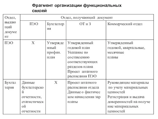 Фрагмент организации функциональных связей