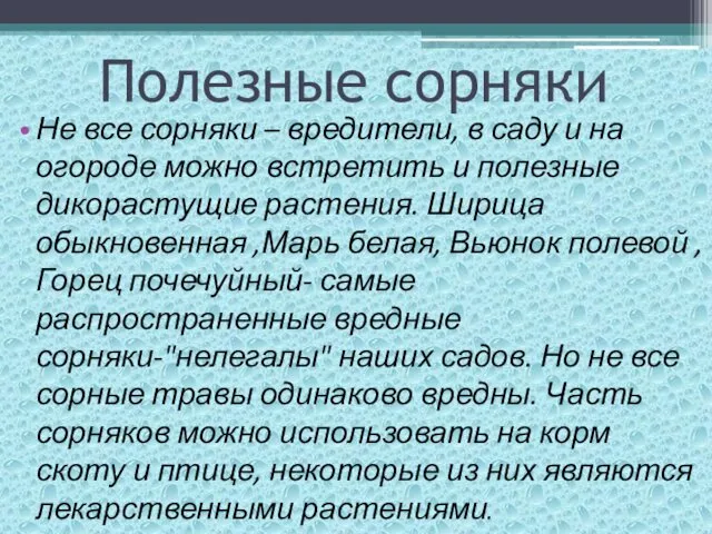 Полезные сорняки Не все сорняки – вредители, в саду и на