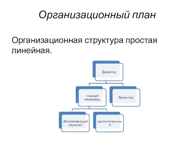 Организационный план Организационная структура простая линейная.