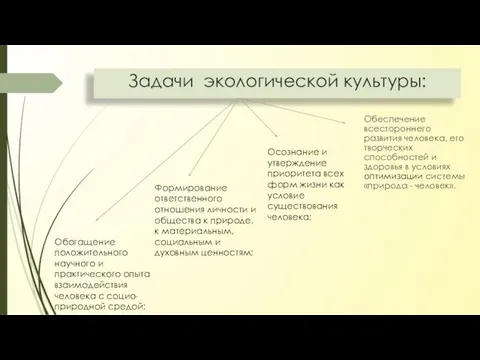 Задачи экологической культуры: Обеспечение всестороннего развития человека, его творческих способностей и