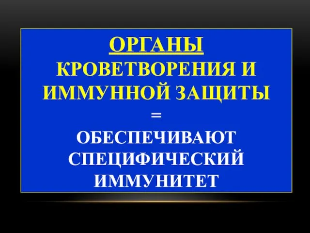 ОРГАНЫ КРОВЕТВОРЕНИЯ И ИММУННОЙ ЗАЩИТЫ = ОБЕСПЕЧИВАЮТ СПЕЦИФИЧЕСКИЙ ИММУНИТЕТ