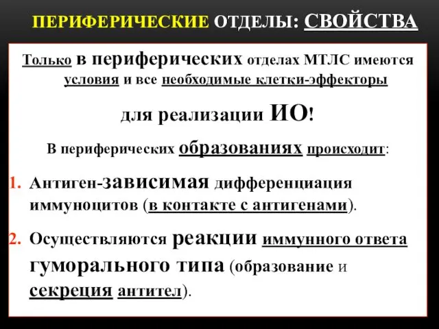 ПЕРИФЕРИЧЕСКИЕ ОТДЕЛЫ: СВОЙСТВА Только в периферических отделах МТЛС имеются условия и