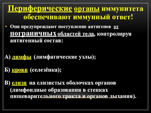 Периферические органы иммунитета обеспечивают иммунный ответ! Они предупреждают поступление антигенов от