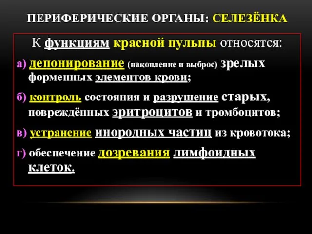 ПЕРИФЕРИЧЕСКИЕ ОРГАНЫ: СЕЛЕЗЁНКА К функциям красной пульпы относятся: а) депонирование (накопление