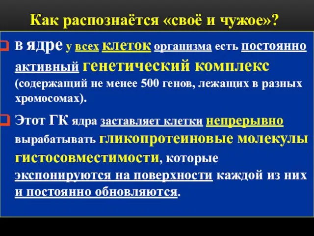 Как распознаётся «своё и чужое»? В ядре у всех клеток организма