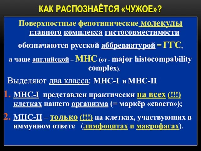 КАК РАСПОЗНАЁТСЯ «ЧУЖОЕ»? Поверхностные фенотипические молекулы главного комплекса гистосовместимости обозначаются русской