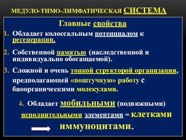 МЕДУЛО-ТИМО-ЛИМФАТИЧЕСКАЯ СИСТЕМА Главные свойства: Обладает колоссальным потенциалом к регенерации. Собственной памятью