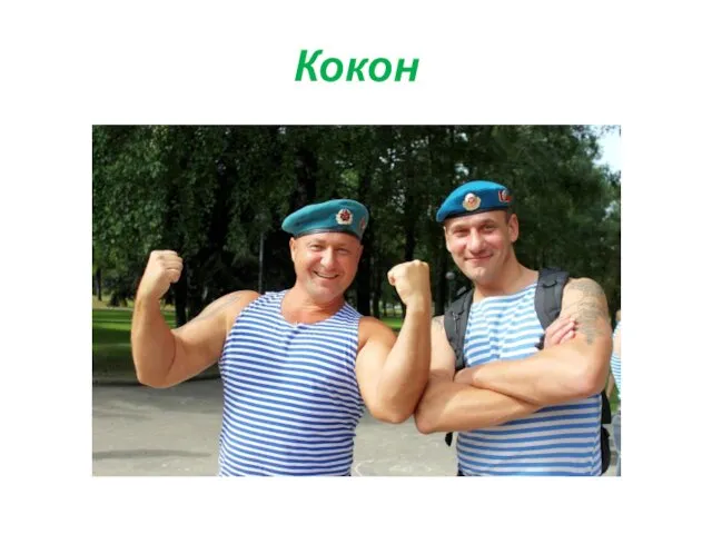 Кокон