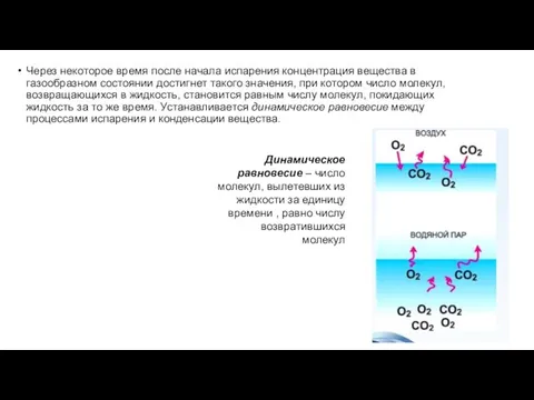 Через некоторое время после начала испарения концентрация вещества в газообразном состоянии